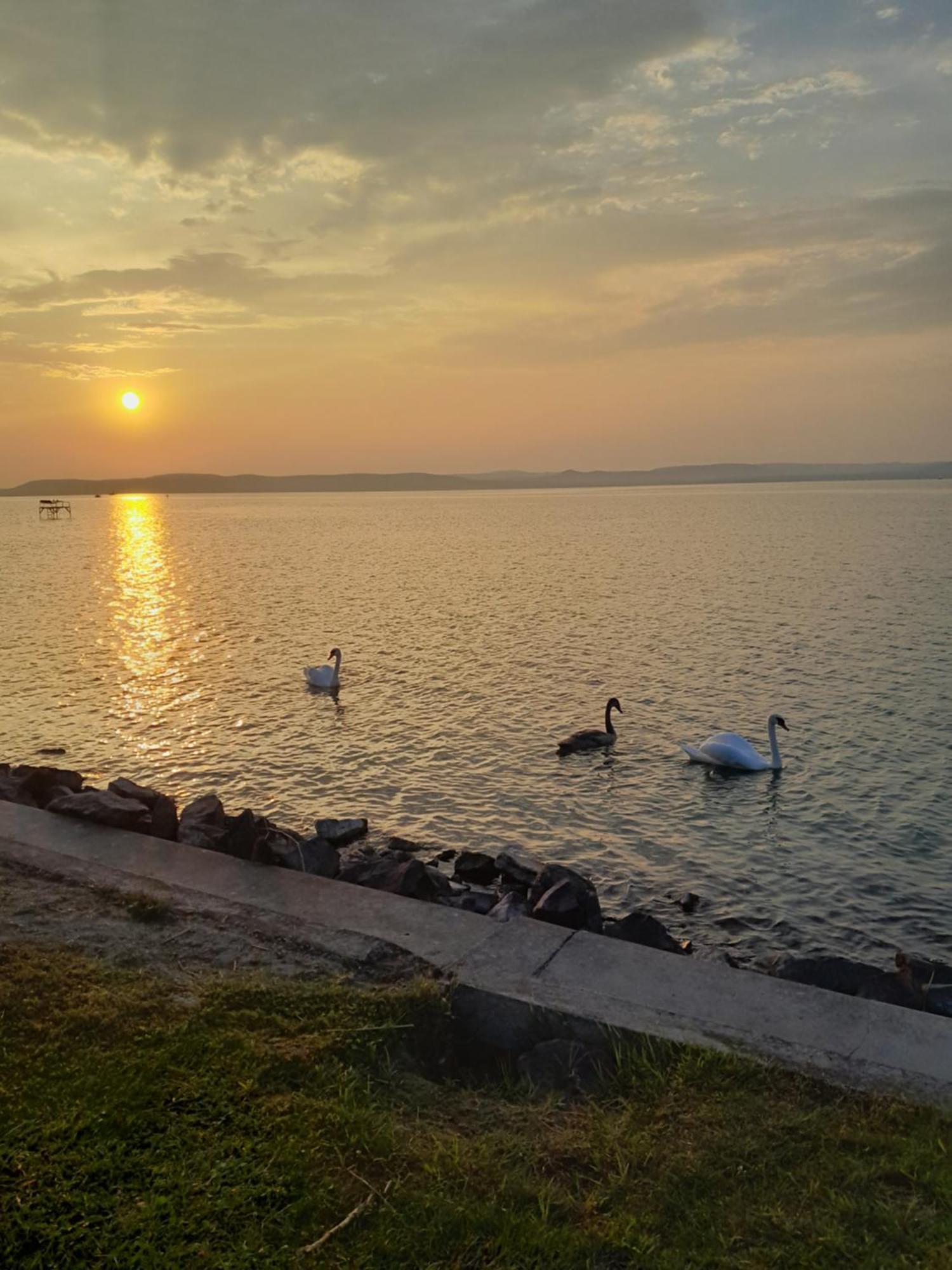 Traumlage direkt am See Balatonszárszó Exterior foto