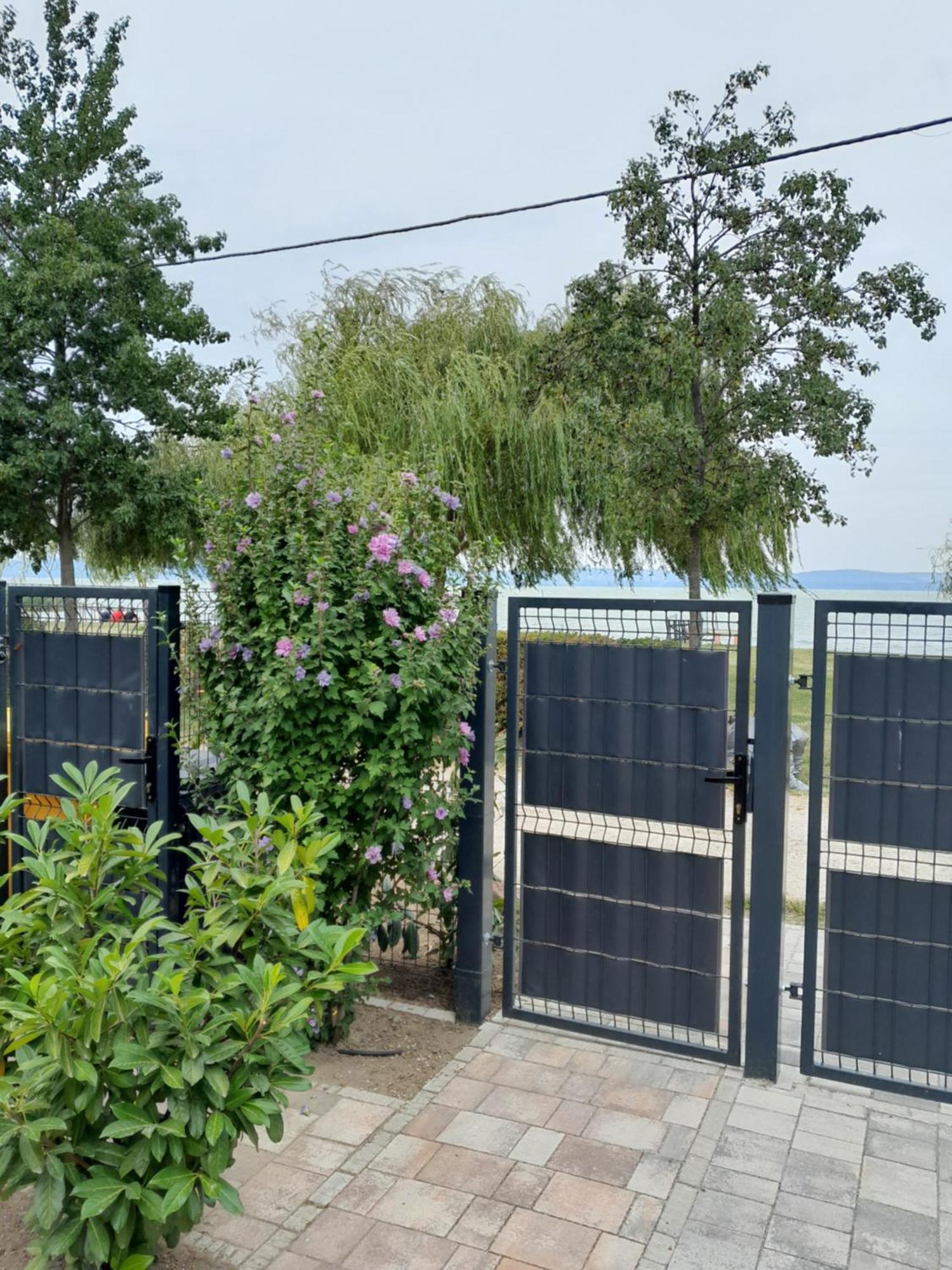 Traumlage direkt am See Balatonszárszó Exterior foto